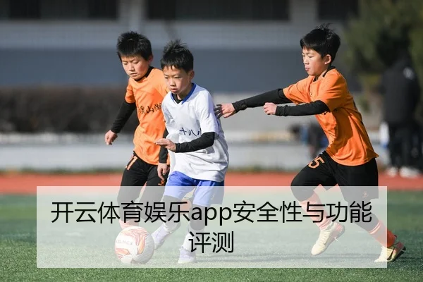 开云体育娱乐app安全性与功能评测