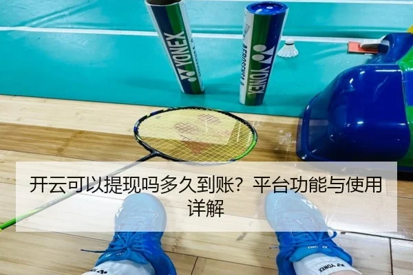 开云可以提现吗多久到账？平台功能与使用详解