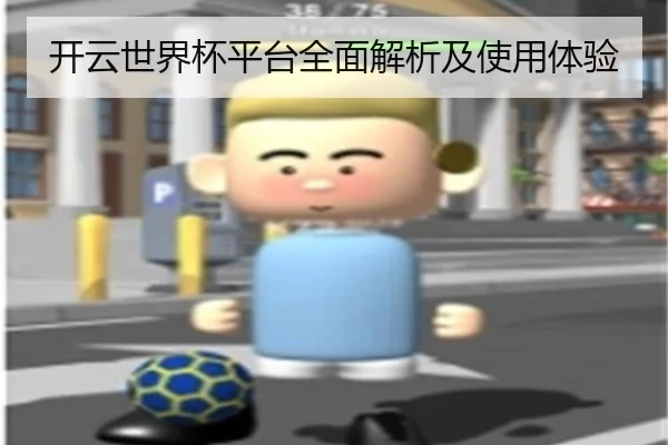 开云世界杯平台全面解析及使用体验