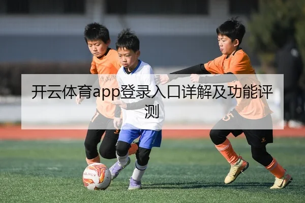 开云体育app登录入口详解及功能评测