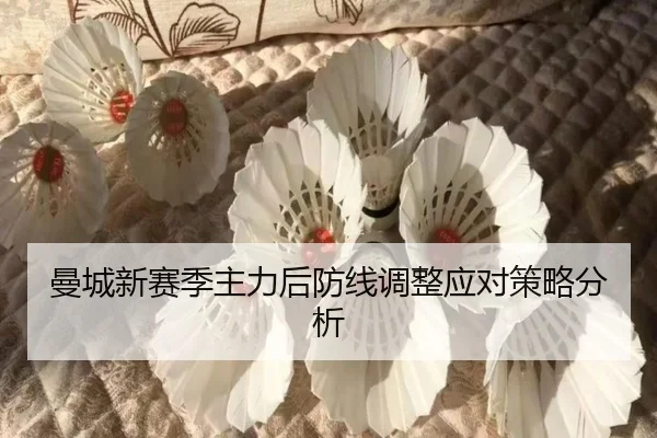 man-cheng-xin-sai-ji-zhu-li-hou-fang-xian-tiao-zheng-ying-dui-ce-lve-fen-xi-1-466.jpg