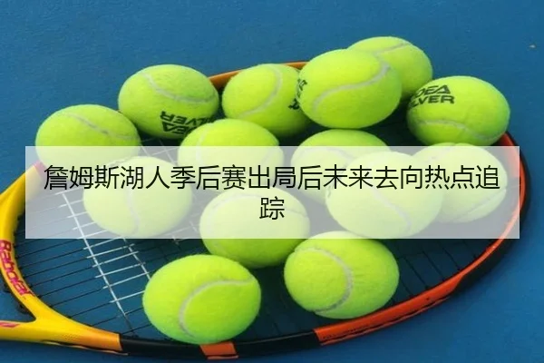 詹姆斯湖人季后赛出局后未来去向热点追踪